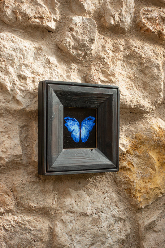 copper mounted & framed 'Mirror of the goddess No.III' photographic butterfly print   - €360 | Shop now & buy direct from the artists studio - Distil Ennui ™ est.1990.