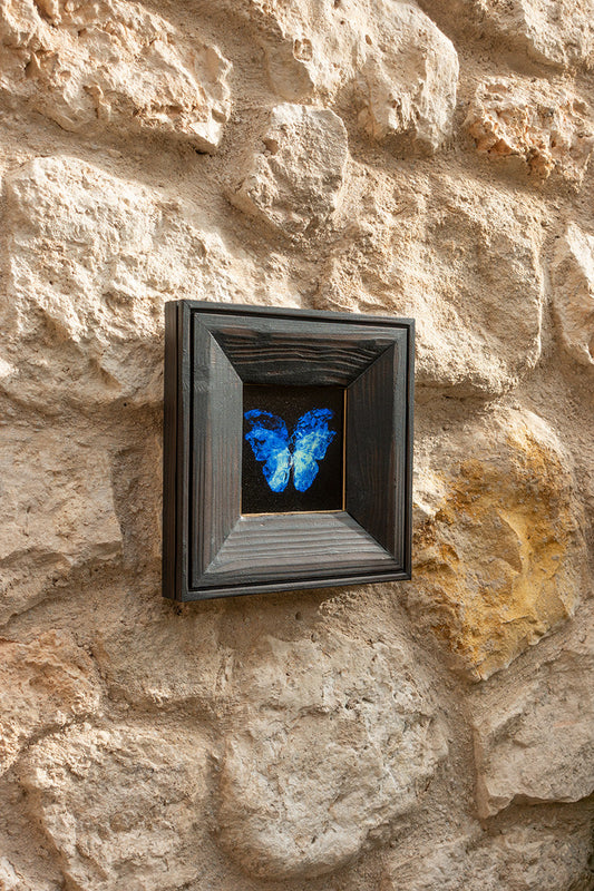 copper mounted & framed 'Mirror of the goddess No.I' photographic butterfly print   - €360 | Shop now & buy direct from the artists studio - Distil Ennui ™ est.1990.