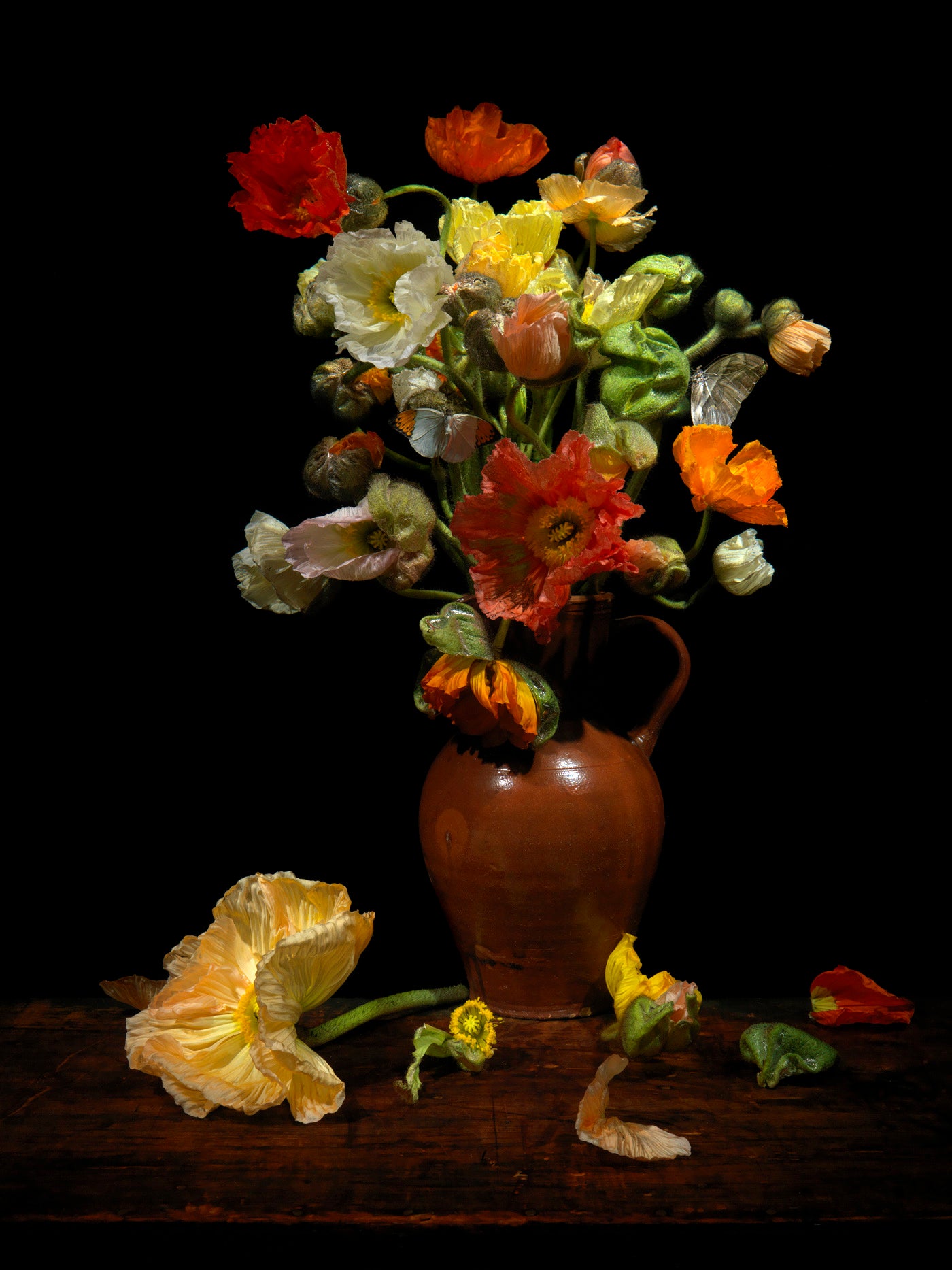 Awaiting Nix, underwater Vanitas still life photograph  photographic print - €3200 | Shop now & buy direct from the artists studio - Distil Ennui ™ est.1990.