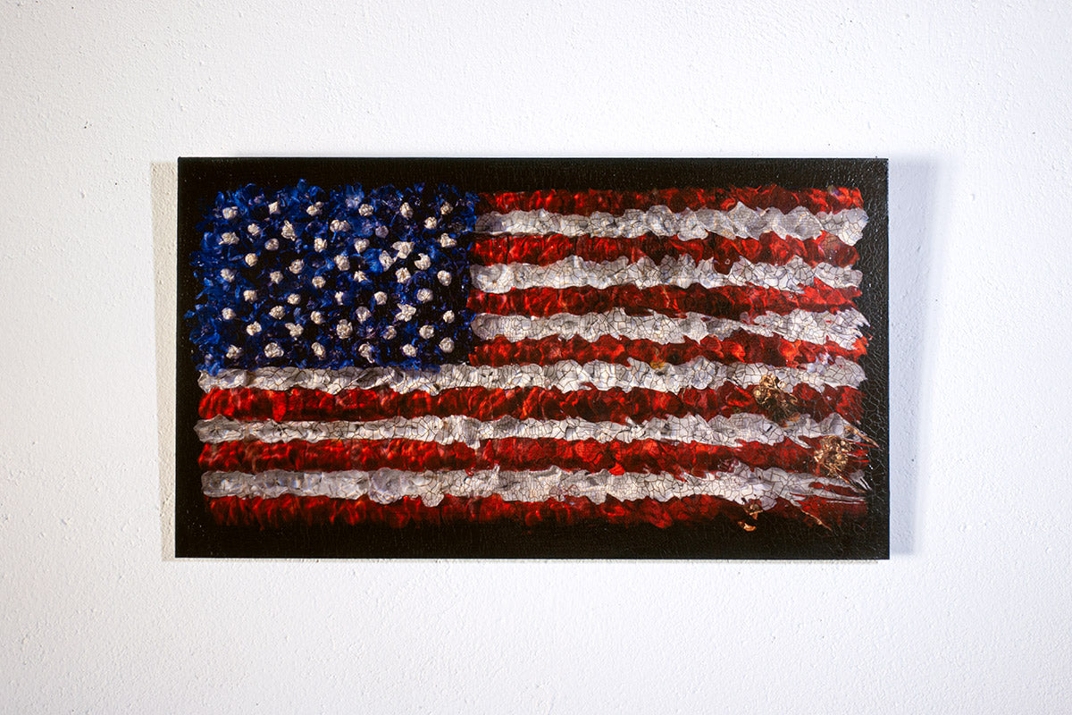 Aged American Flag In Flower Petals No. 0109  photographic print - €2100 | Shop now & buy direct from the artists studio - Distil Ennui ™ est.1990.