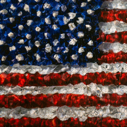 Aged American Flag In Flower Petals No. 0110  photographic print - €2100 | Shop now & buy direct from the artists studio - Distil Ennui ™ est.1990.