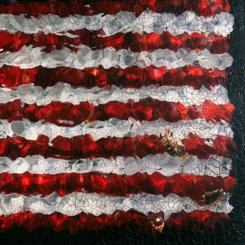 Aged American Flag In Flower Petals No. 0113  photographic print - €2100 | Shop now & buy direct from the artists studio - Distil Ennui ™ est.1990.