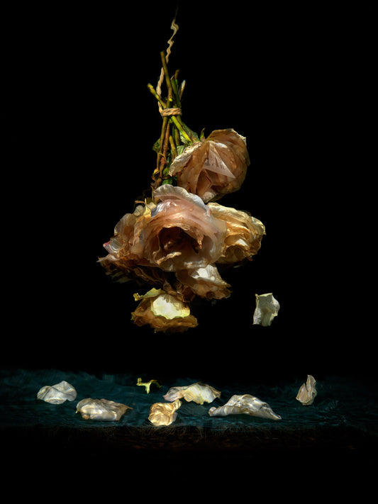 Isolation, underwater Vanitas still life photograph  photographic print - €3200 | Shop now & buy direct from the artists studio - Distil Ennui ™ est.1990.