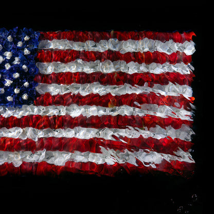 American Flag - Unique Giclée Print No. 0117  photographic print - €500 | Shop now & buy direct from the artists studio - Distil Ennui ™ est.1990.