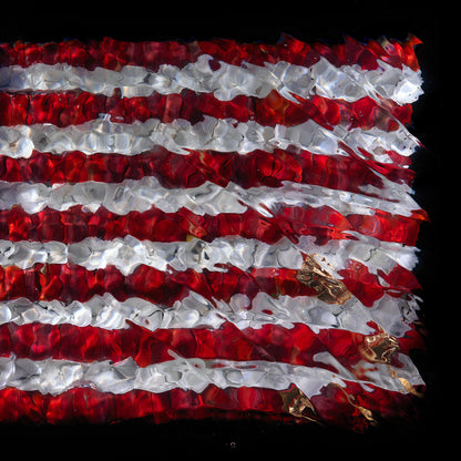 American Flag - Unique Giclée Print No. 0194  photographic print - €500 | Shop now & buy direct from the artists studio - Distil Ennui ™ est.1990.