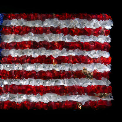 American Flag - Unique Giclée Print No. 0201  photographic print - €500 | Shop now & buy direct from the artists studio - Distil Ennui ™ est.1990.