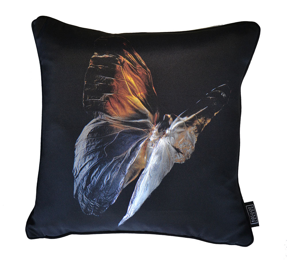 Caligo Eurilochus (owl) Butterfly Silk Cushion   - €190 | Shop now & buy direct from the artists studio - Distil Ennui ™ est.1990.