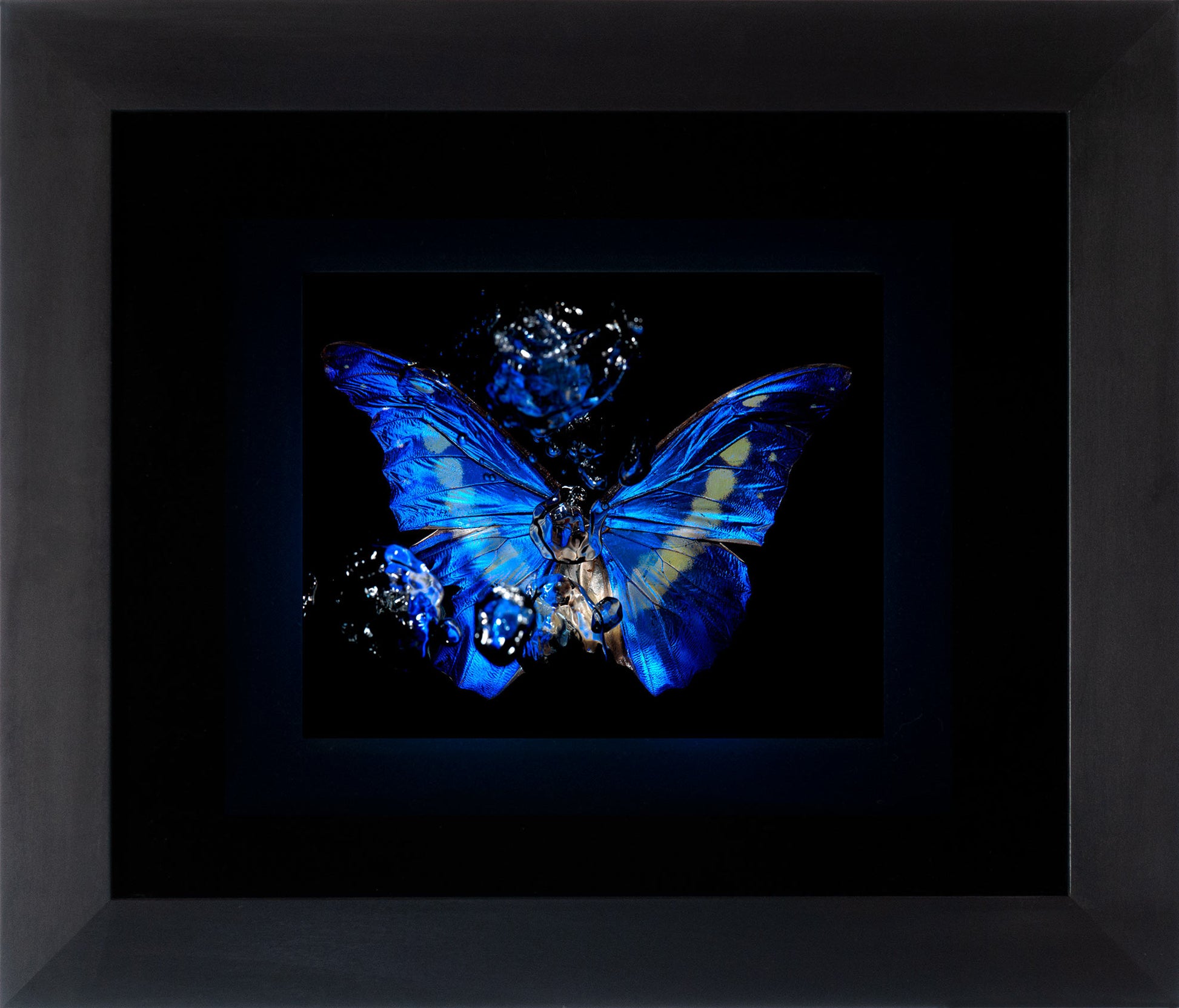 Transparency of a dream illuminated. Plate I  photographic print - €4950 | Shop now & buy direct from the artists studio - Distil Ennui ™ est.1990.