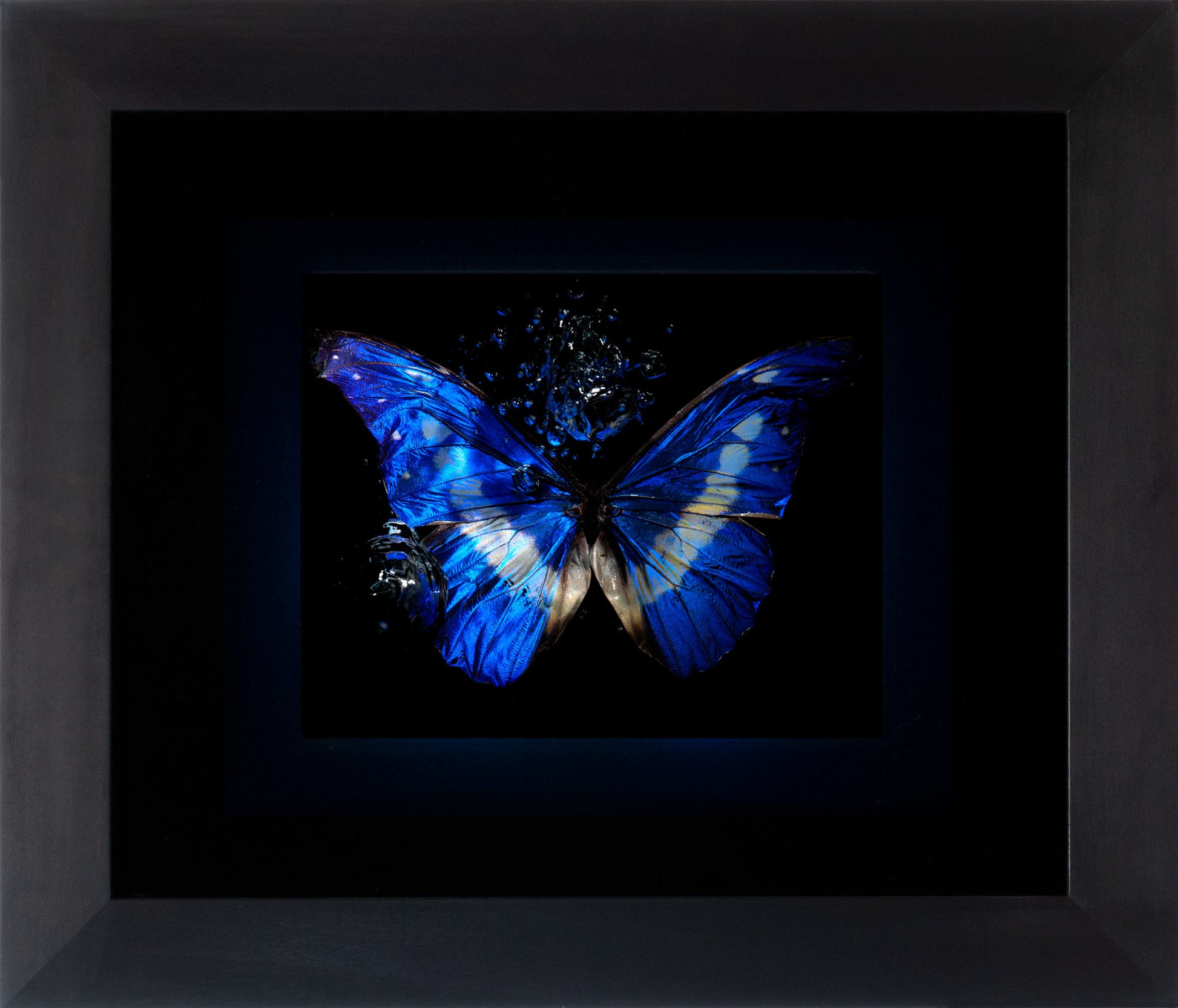 Transparency of a dream illuminated. Plate XIII  photographic print - €4950 | Shop now & buy direct from the artists studio - Distil Ennui ™ est.1990.