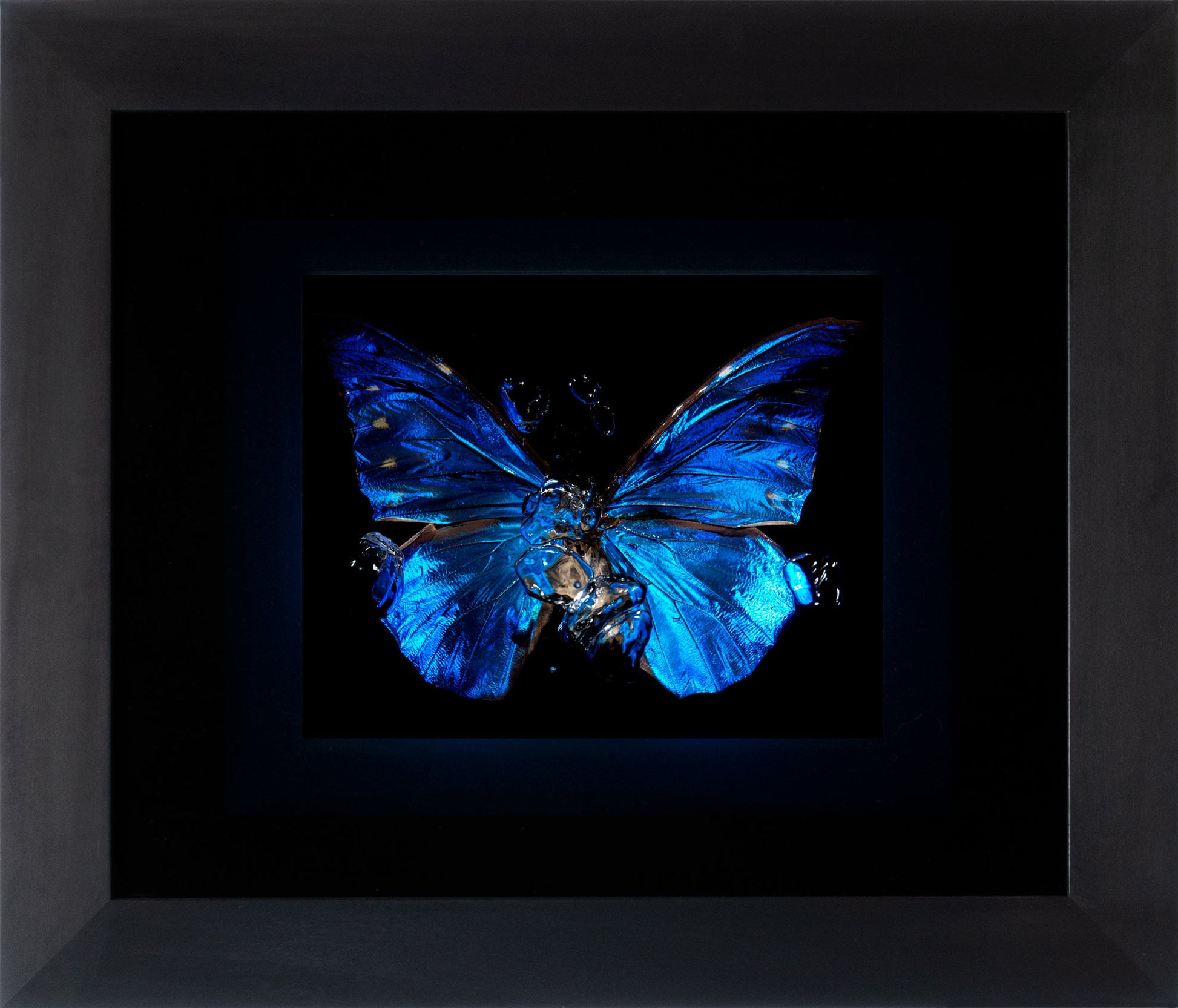 Transparency of a dream illuminated. Plate II  photographic print - €4950 | Shop now & buy direct from the artists studio - Distil Ennui ™ est.1990.