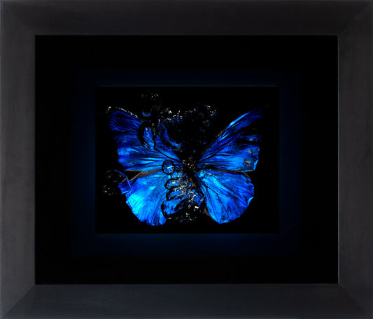 Transparency of a dream illuminated. Plate IX  photographic print - €4950 | Shop now & buy direct from the artists studio - Distil Ennui ™ est.1990.