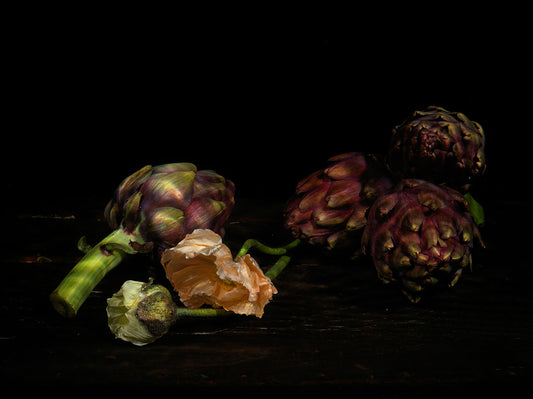 Artichoke with poppies, underwater Vanitas still life photograph  photographic print - €3200 | Shop now & buy direct from the artists studio - Distil Ennui ™ est.1990.