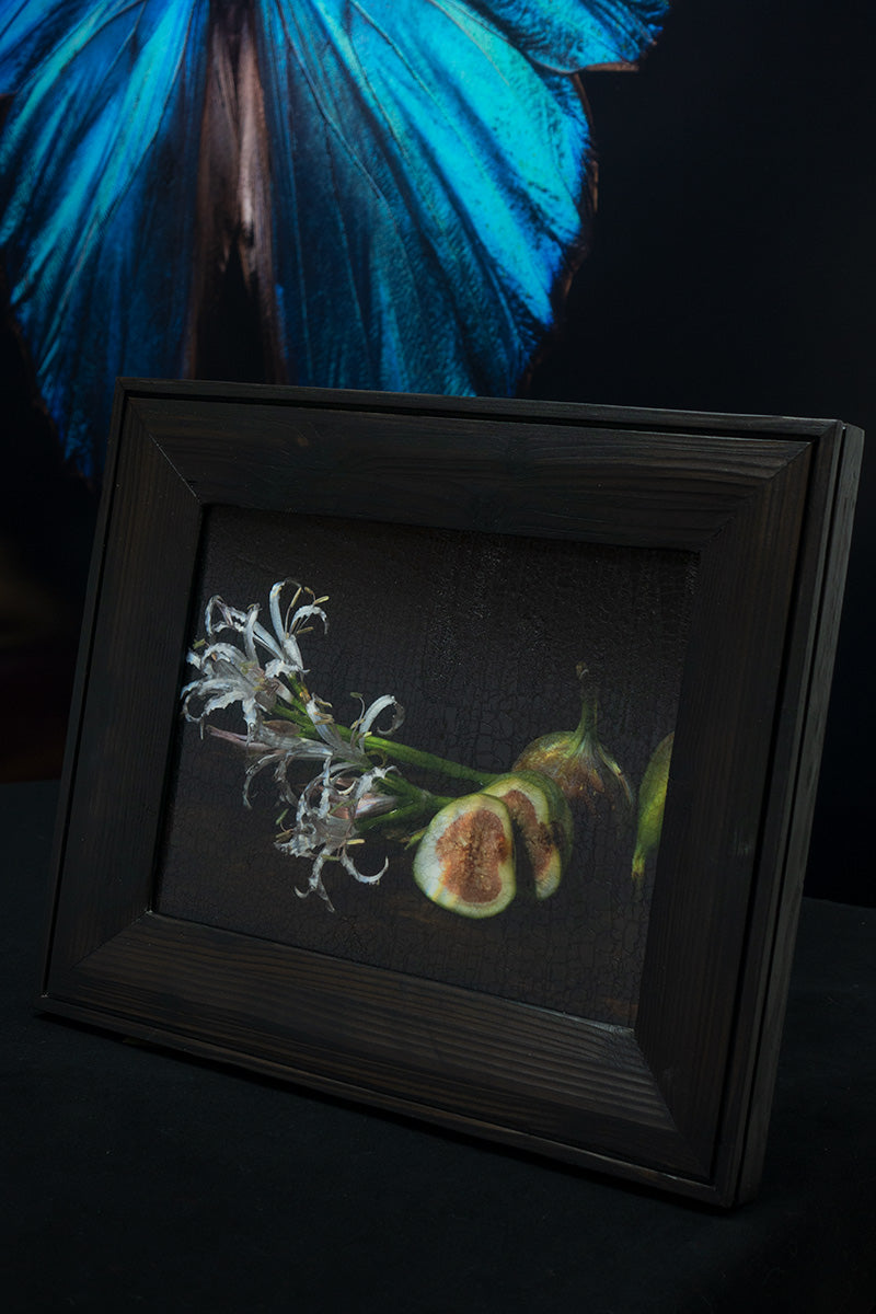 Underwater vanitas 'Figs' unique photographic print in a Shou Sugi Ban frame