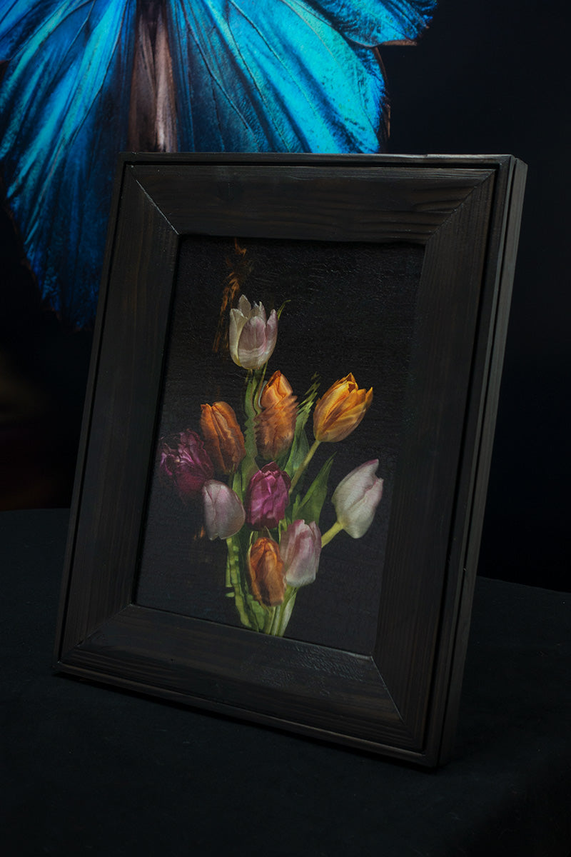 Tulips No.II - unique framed photographic print