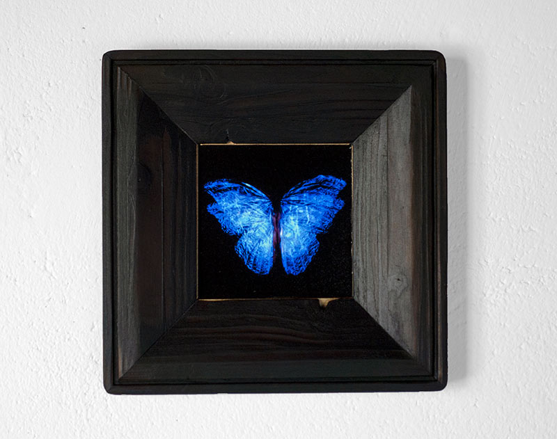 copper mounted & framed 'Mirror of the goddess No.III' photographic butterfly print   - €360 | Shop now & buy direct from the artists studio - Distil Ennui ™ est.1990.