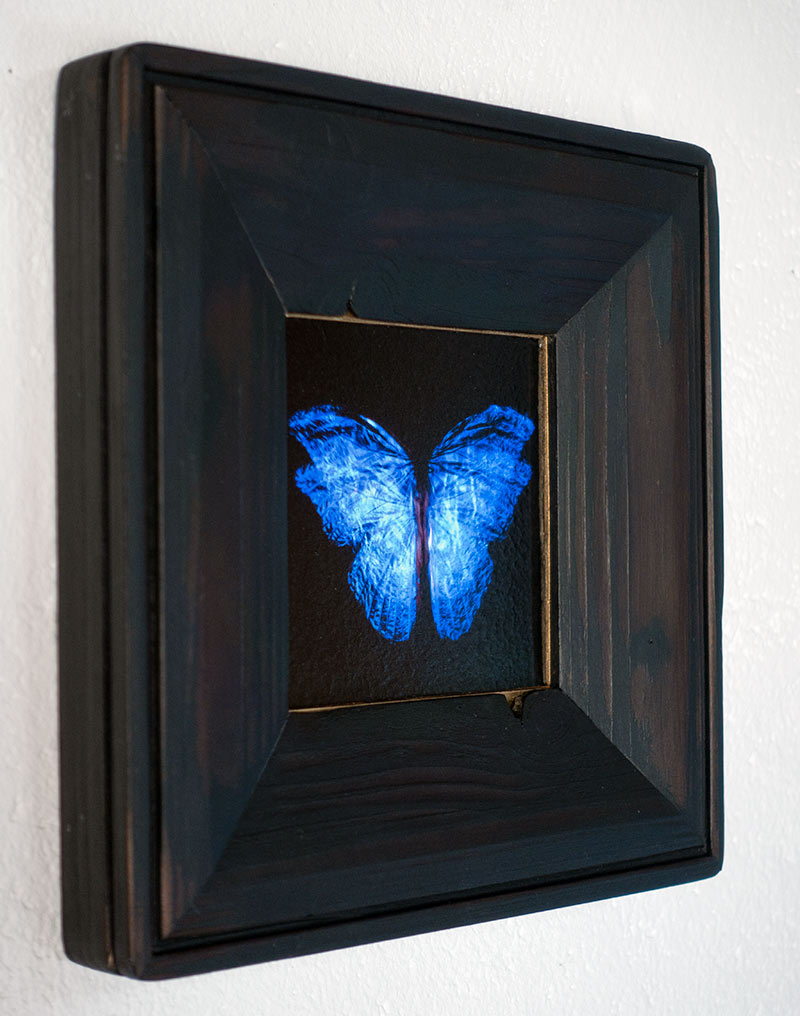 copper mounted & framed 'Mirror of the goddess No.III' photographic butterfly print   - €360 | Shop now & buy direct from the artists studio - Distil Ennui ™ est.1990.