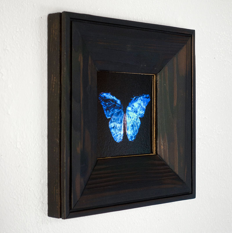 copper mounted & framed 'Mirror of the goddess No.IV' photographic butterfly print   - €360 | Shop now & buy direct from the artists studio - Distil Ennui ™ est.1990.