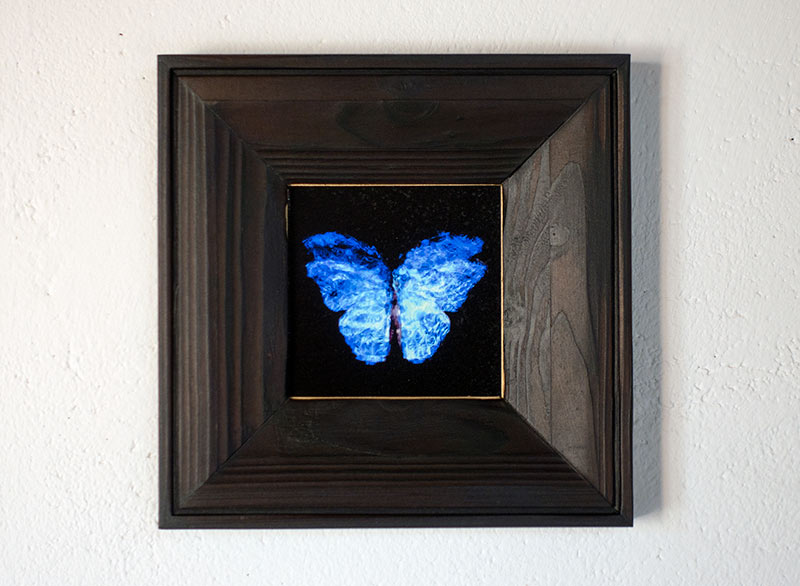 copper mounted & framed 'Mirror of the goddess No.II' photographic butterfly print   - €360 | Shop now & buy direct from the artists studio - Distil Ennui ™ est.1990.