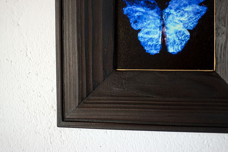 copper mounted & framed 'Mirror of the goddess No.II' photographic butterfly print   - €360 | Shop now & buy direct from the artists studio - Distil Ennui ™ est.1990.