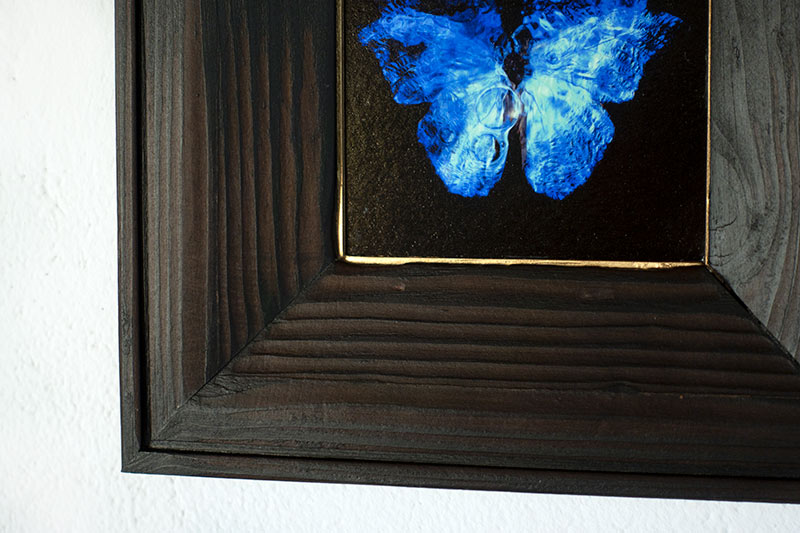 copper mounted & framed 'Mirror of the goddess No.I' photographic butterfly print   - €360 | Shop now & buy direct from the artists studio - Distil Ennui ™ est.1990.