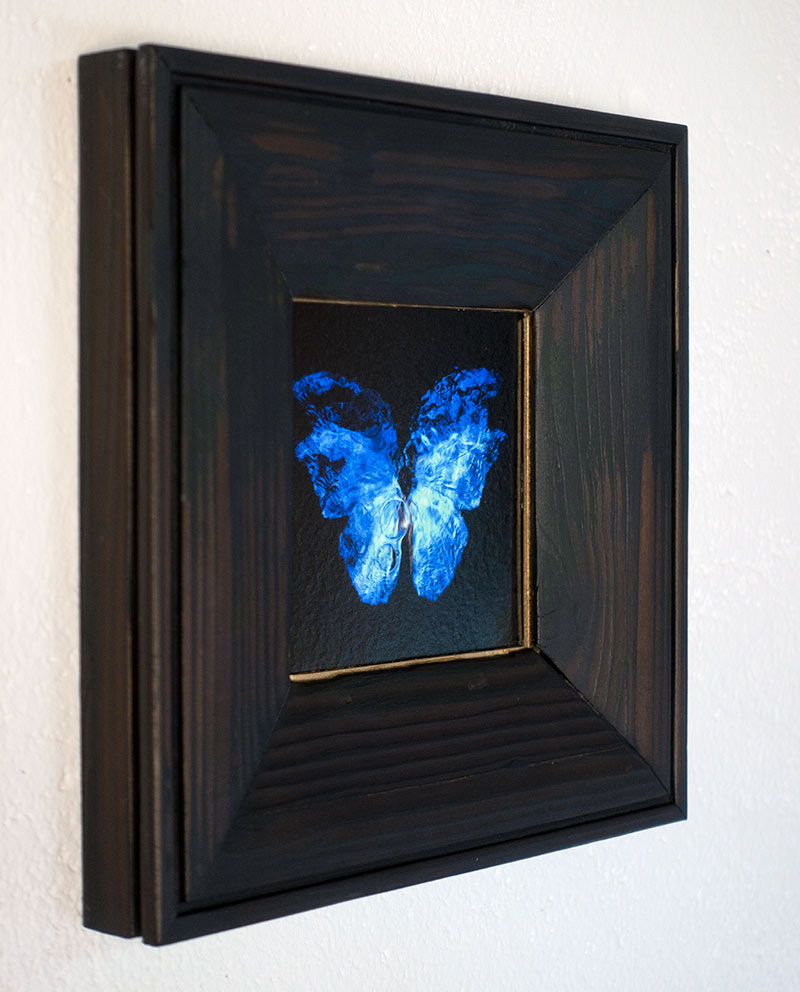 copper mounted & framed 'Mirror of the goddess No.I' photographic butterfly print   - €360 | Shop now & buy direct from the artists studio - Distil Ennui ™ est.1990.