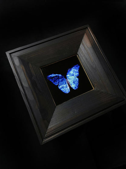 copper mounted & framed 'Mirror of the goddess No.IV' photographic butterfly print   - €360 | Shop now & buy direct from the artists studio - Distil Ennui ™ est.1990.