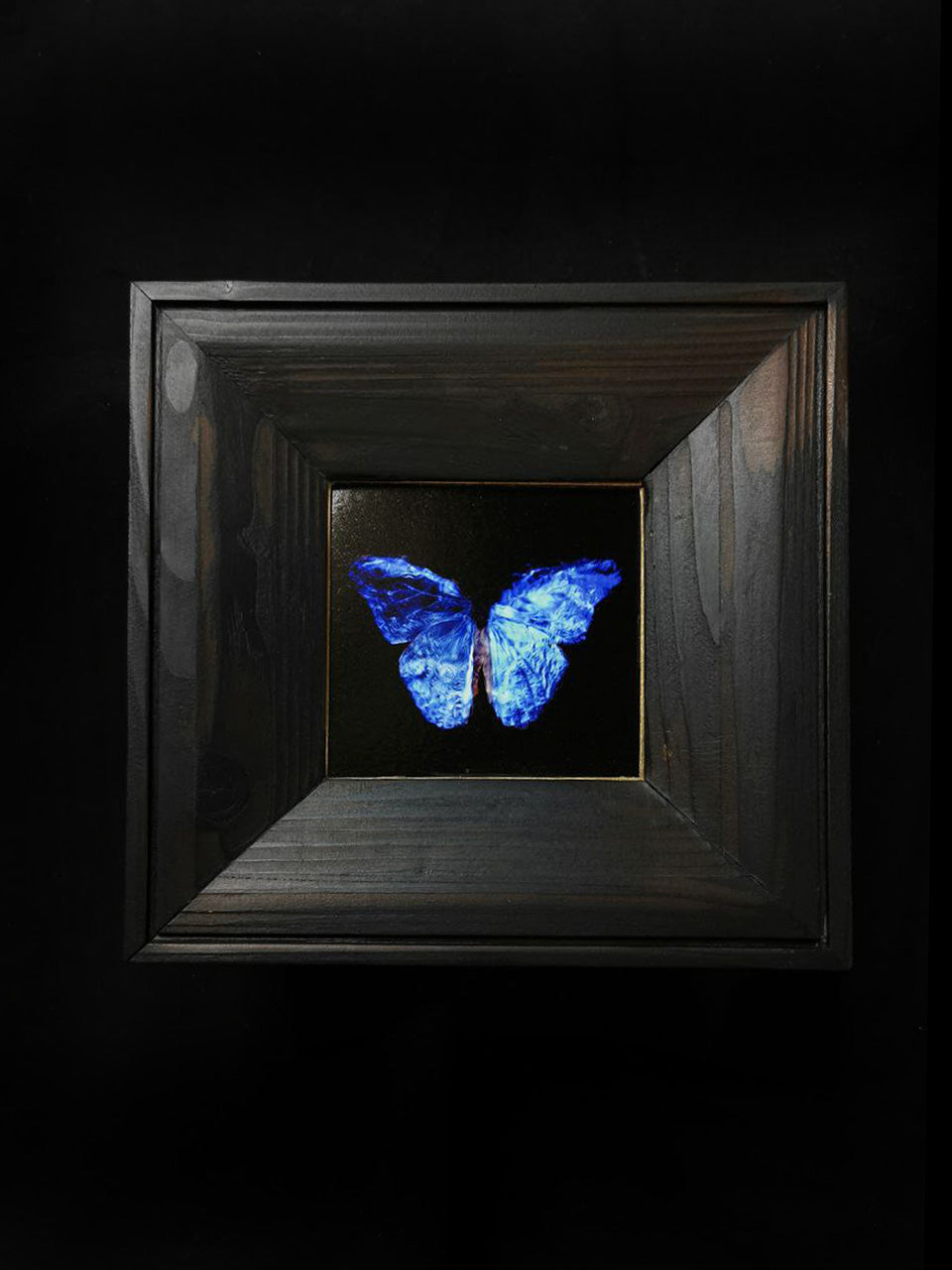 copper mounted & framed 'Mirror of the goddess No.IV' photographic butterfly print   - €360 | Shop now & buy direct from the artists studio - Distil Ennui ™ est.1990.