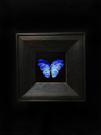 copper mounted & framed 'Mirror of the goddess No.II' photographic butterfly print   - €360 | Shop now & buy direct from the artists studio - Distil Ennui ™ est.1990.